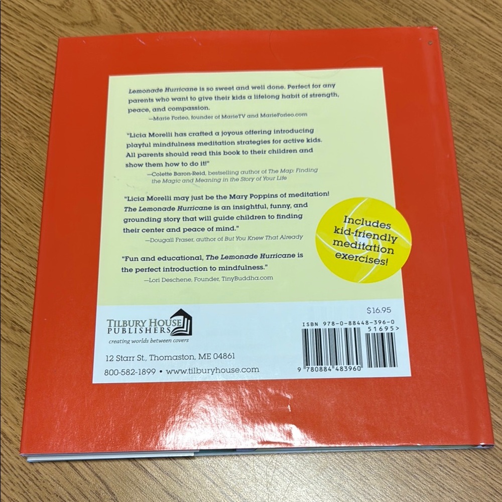 The Lemonade Hurricane Children's Book - Picture 2 of 6